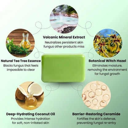 FreshFold™ Cleansing Bar